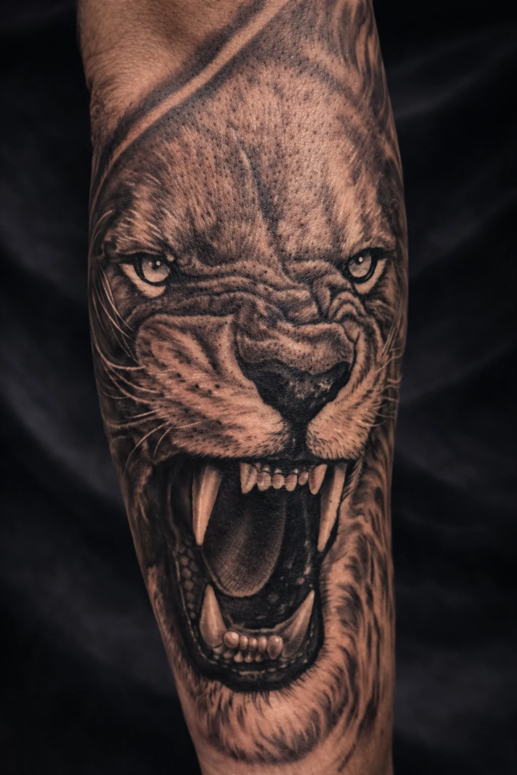 Realistic roaring lion tattoo