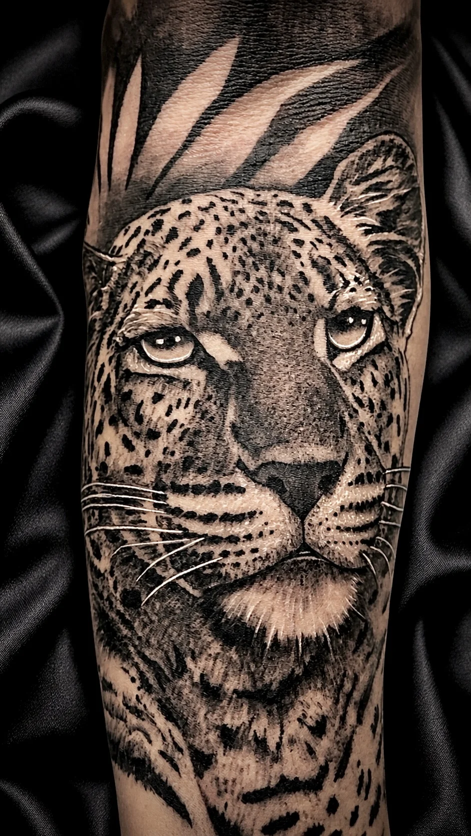Jaguar portrait tattoo