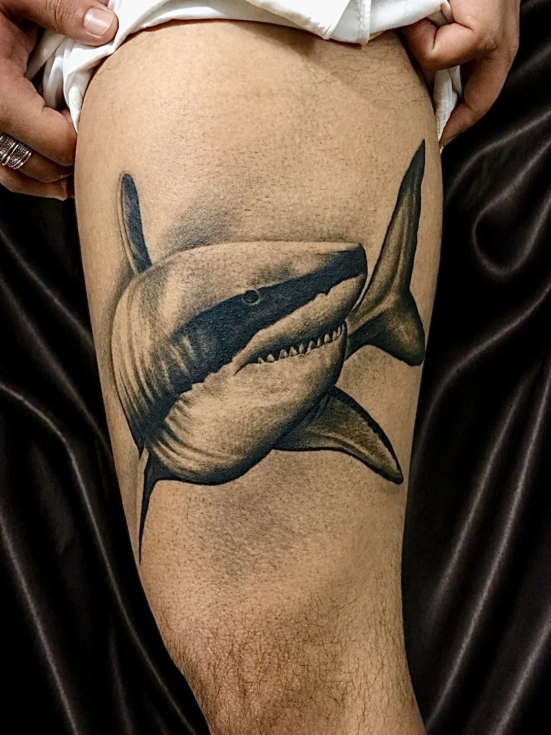 Realistic shark tattoo